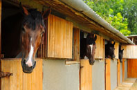 free Tolcarne Wartha stable construction quotes